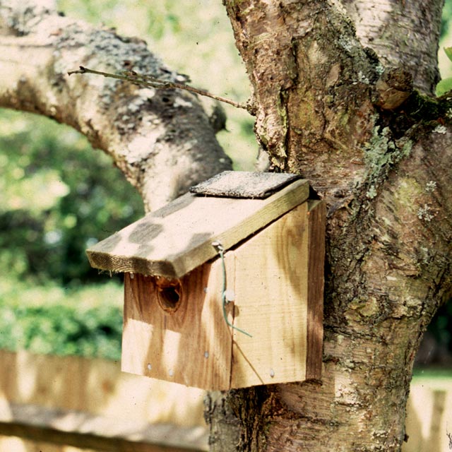 Bird table in a wildlife garden design in Barrow Gurney, Somerset