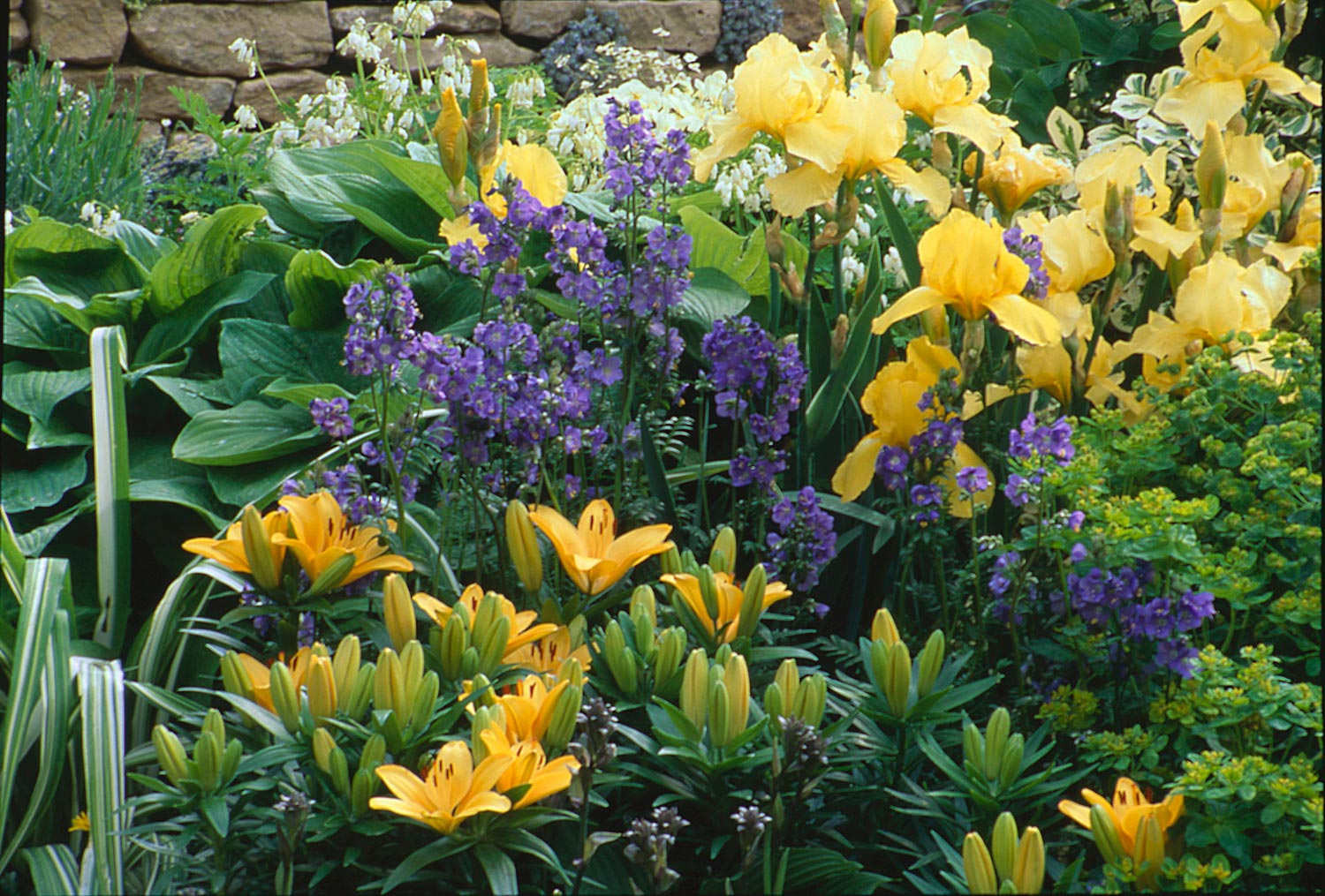 Detail of Chelsea Flower Show garden designed by Christine Pritchard