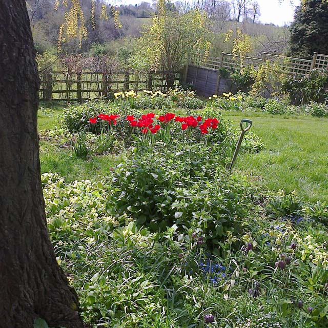 Example of the new planting style in Wells, Somerset