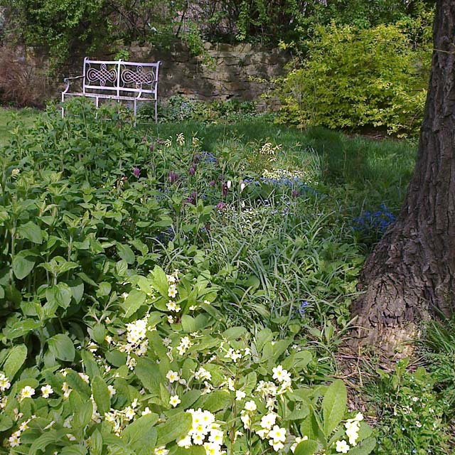 Example of the new planting style at Chew Magna, near Bristol, Somerset: garden after it was redesigned