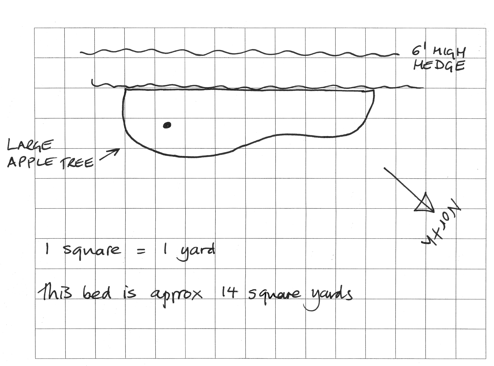 Your sketch of your garden as a starting point for the design