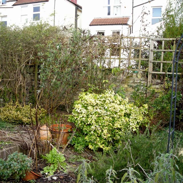 A garden in Bishopston, Bristol, before the play area was built