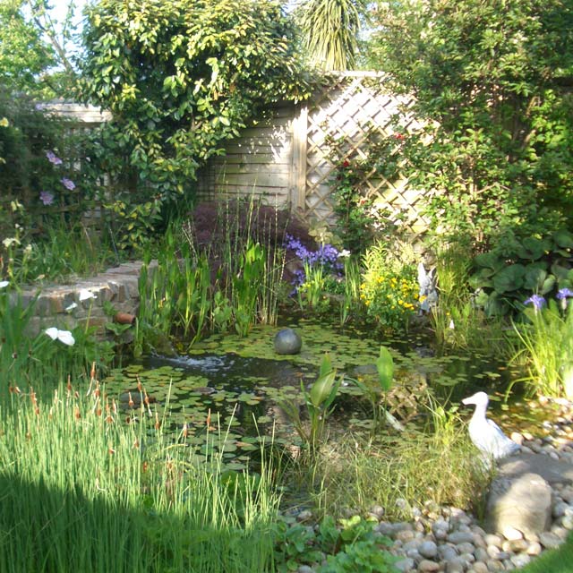 Family garden with wildlife pond in Nailsea, Somerset