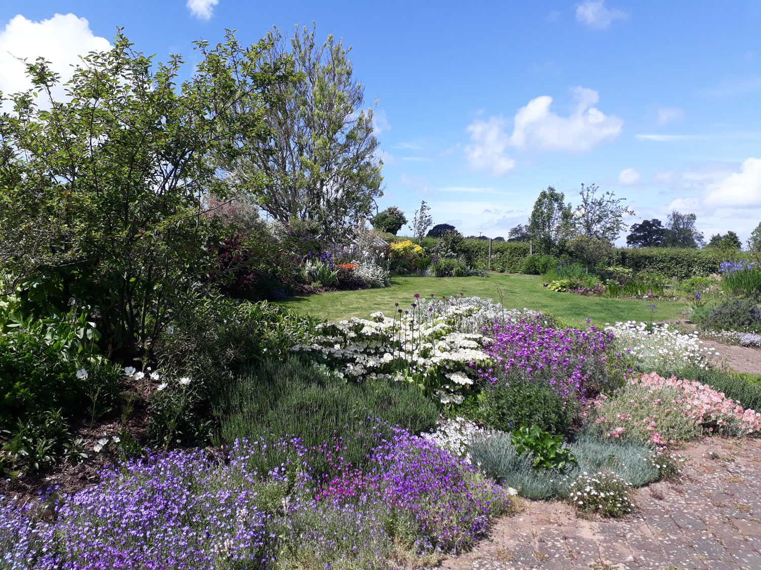 Somerset country garden in summer